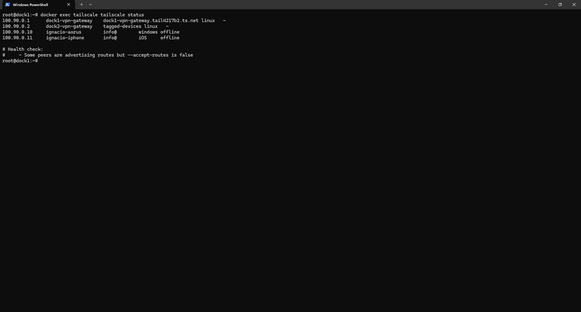 tailscale status output